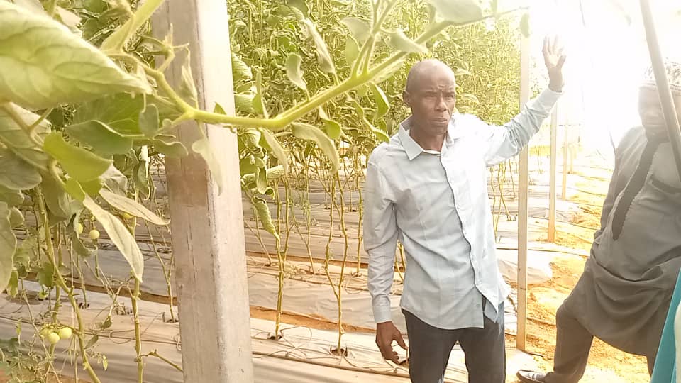 Facilitator from CDA BUK presenting Tomatoes production